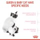 ROYAL CANIN MOTHER & BABY CAT ( 400 G )