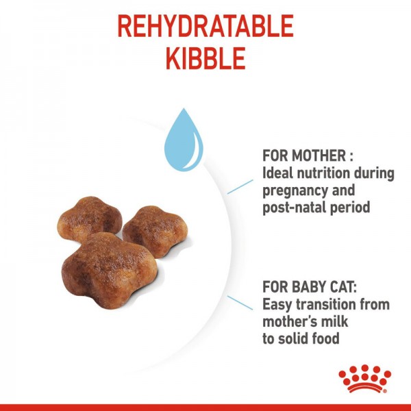 ROYAL CANIN MOTHER & BABY CAT ( 400 G )