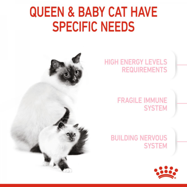 ROYAL CANIN MOTHER & BABY CAT ( 4 Kg )