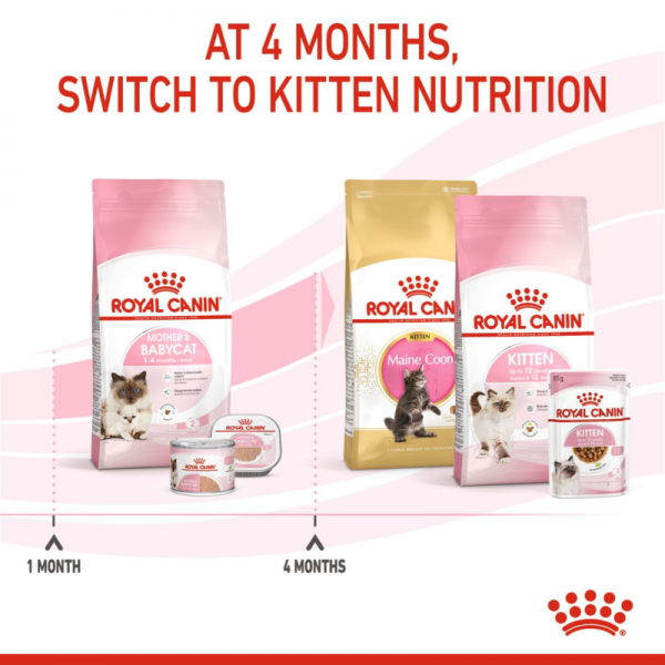 ROYAL CANIN MOTHER & BABY CAT ( 4 Kg )