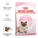 ROYAL CANIN MOTHER & BABY CAT ( 4 Kg )