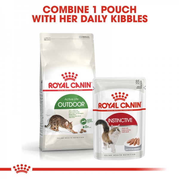 ROYAL CANIN ACTIVE LIFE OUTDOOR ( 2 Kg )