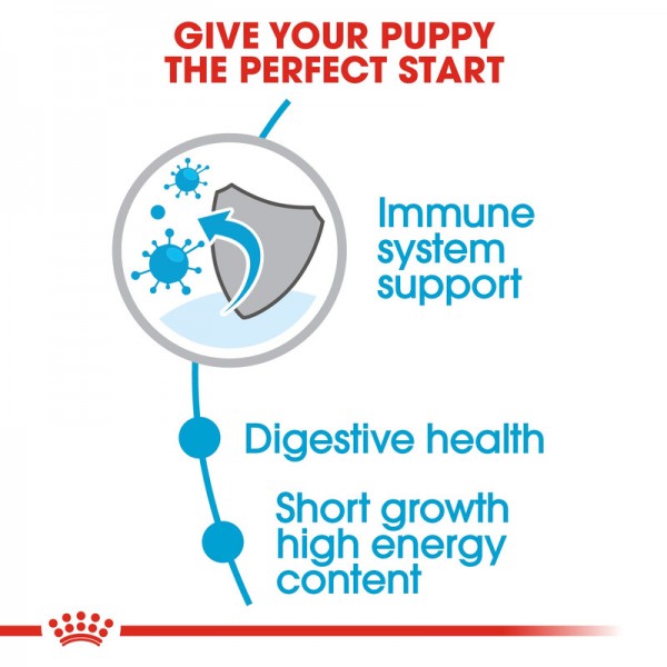 ROYAL CANIN PUPPY MEDIUM ( 4 Kg )