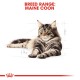 ROYAL CANIN ADULT MAINE COON ( 2 Kg )