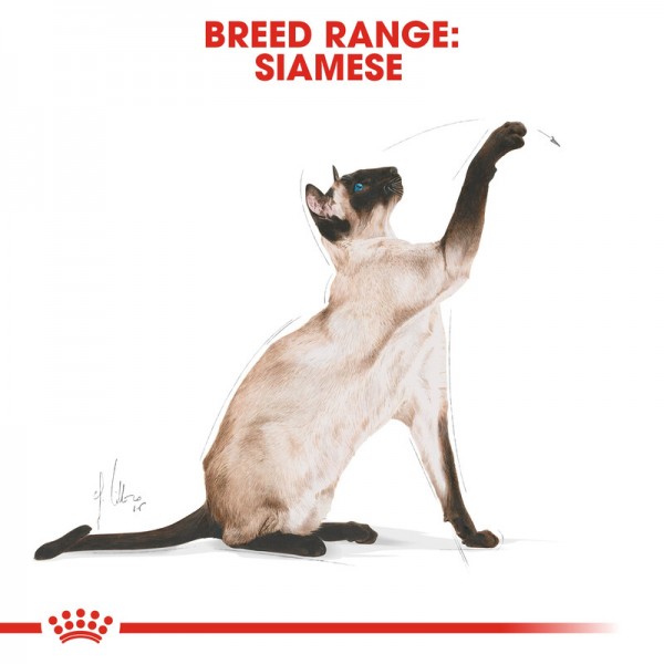 ROYAL CANIN ADULT SIAMESE ( 2 Kg )