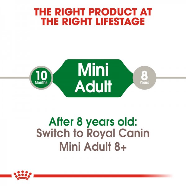 ROYAL CANIN MINI ADULT ( 8 Kg )