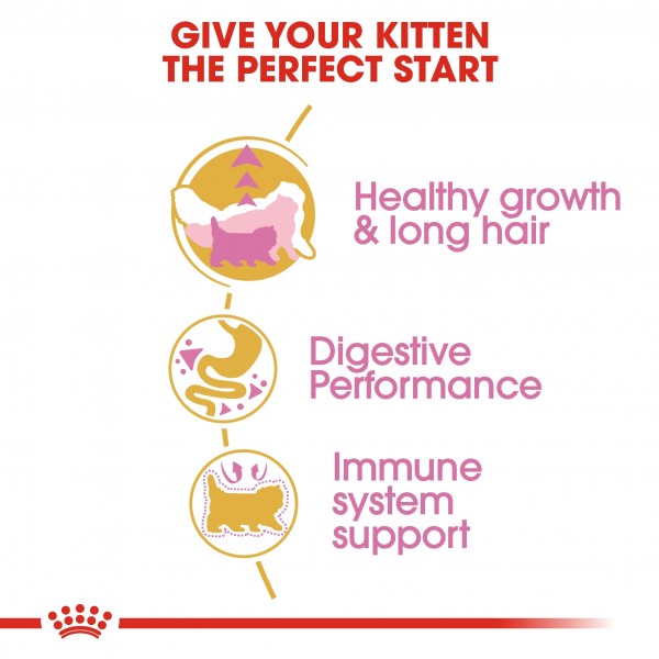 ROYAL CANIN KITTEN PERSIAN ( 400 G )