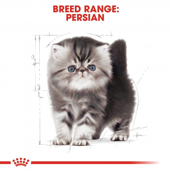 ROYAL CANIN KITTEN PERSIAN ( 400 G )