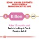 ROYAL CANIN KITTEN PERSIAN ( 2 Kg )