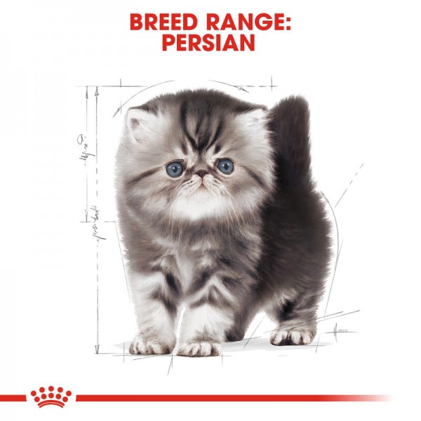 ROYAL CANIN KITTEN PERSIAN ( 2 Kg )