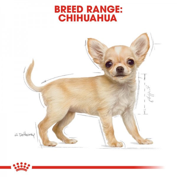 ROYAL CANIN PUPPY CHIHUAHUA ( 1.5 Kg )