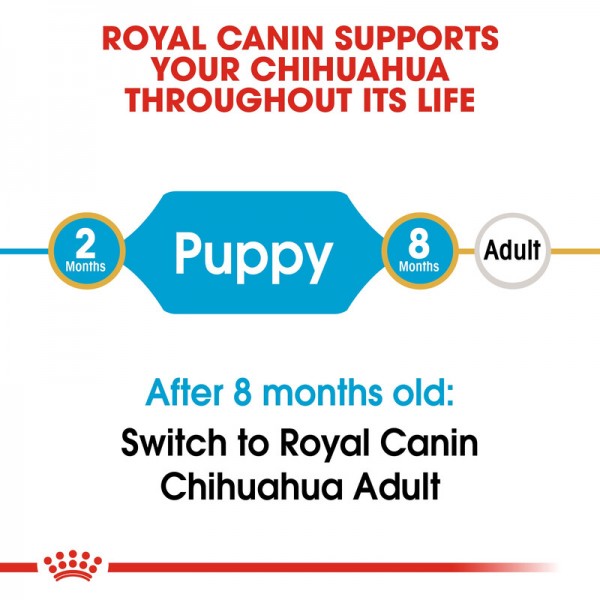 ROYAL CANIN PUPPY CHIHUAHUA ( 1.5 Kg )