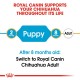 ROYAL CANIN PUPPY CHIHUAHUA ( 1.5 Kg )