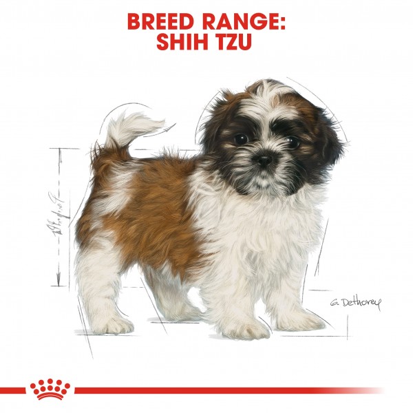 ROYAL CANIN PUPPY SHIHTZU ( 1.5 Kg )