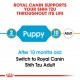 ROYAL CANIN PUPPY SHIHTZU ( 1.5 Kg )