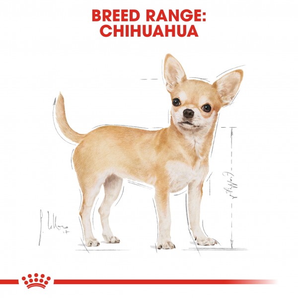 ROYAL CANIN ADULT CHIHUAHUA ( 1.5 Kg )