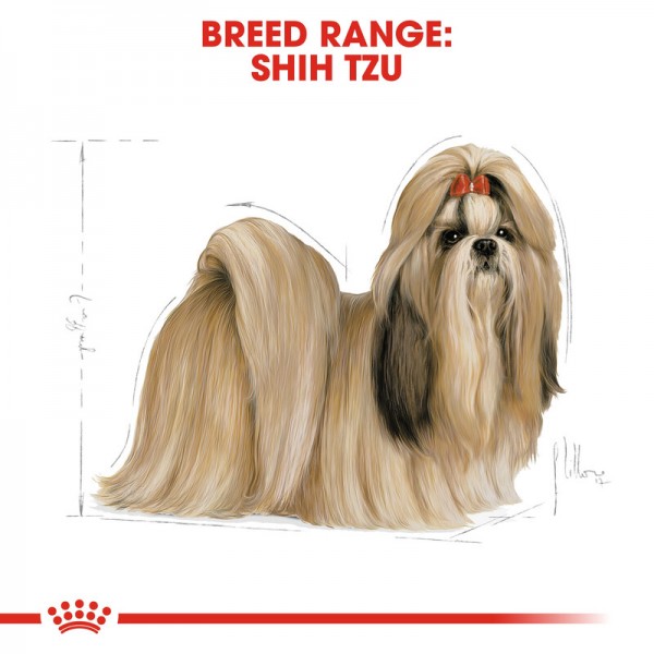 ROYAL CANIN ADULT SHIHTZU ( 1.5 Kg )