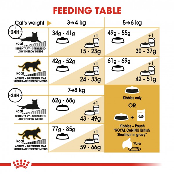 ROYALCANIN  BRITISH SHORTHAIR ADULT (4kg)