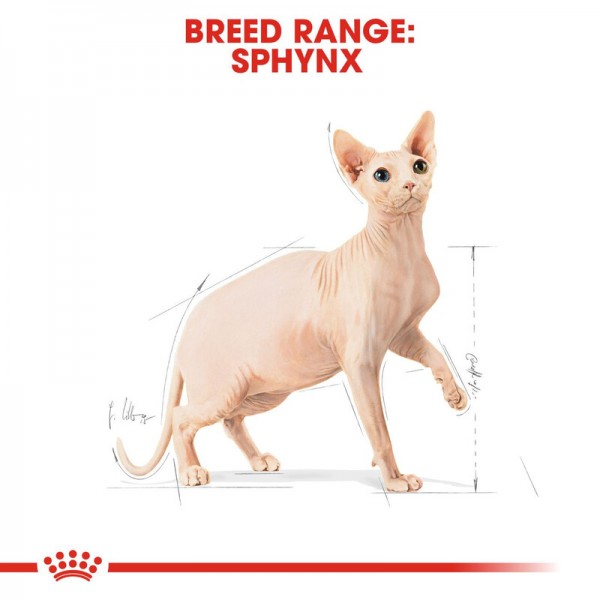 ROYAL CANIN ADULT SPHYNX ( 2 Kg )