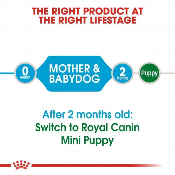 ROYAL CANIN STARTER MINI ( 1 Kg )