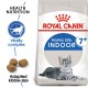 ROYAL CANIN INDOOR 7 PLUS ( 3.5 Kg )