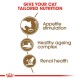 ROYAL CANIN SENIOR AGEING 12 PLUS ( 2 Kg )