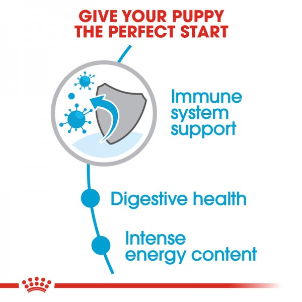 ROYAL CANIN PUPPY MINI ( 2 Kg ) FOR DOG