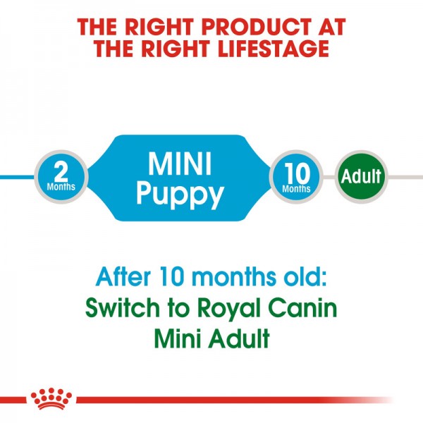 ROYAL CANIN PUPPY MINI ( 2 Kg ) FOR DOG