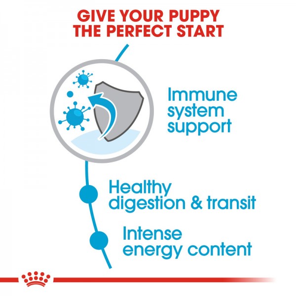 ROYAL CANIN PUPPY X-SMALL ( 1.5 Kg )