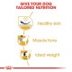 ROYAL CANIN PUG ADULT (7.5 KG)