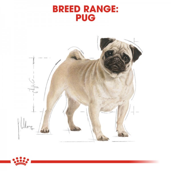 ROYAL CANIN PUG ADULT (7.5 KG)