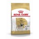 ROYAL CANIN PUG ADULT (7.5 KG)