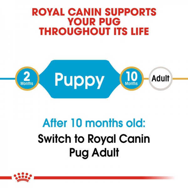 ROYAL CANIN PUPPY PUG ( 1.5 Kg )