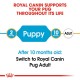 ROYAL CANIN PUPPY PUG ( 1.5 Kg )