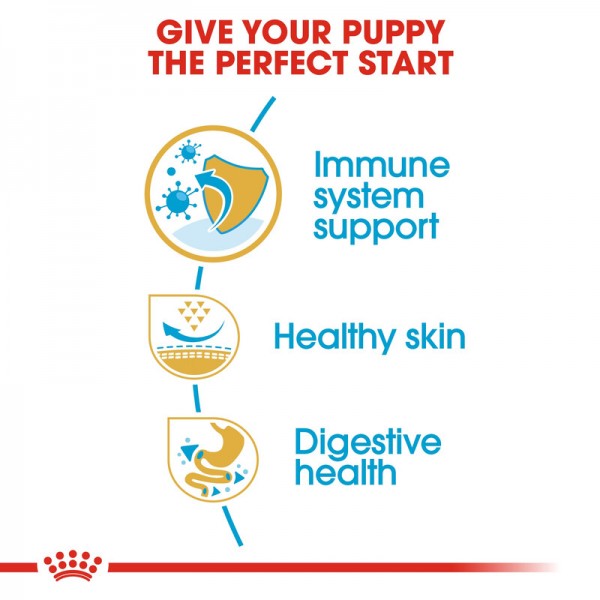 ROYAL CANIN PUPPY PUG ( 1.5 Kg )