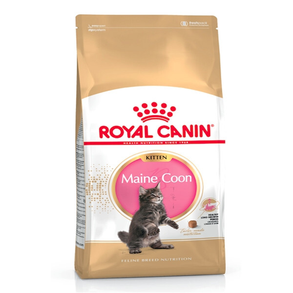 ROYAL CANIN KITTEN MAINE COON ( 2 Kg )