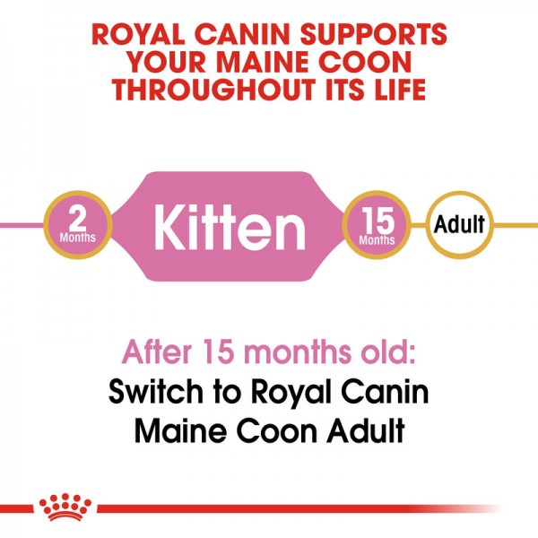 ROYAL CANIN KITTEN MAINE COON ( 2 Kg )