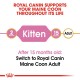 ROYAL CANIN KITTEN MAINE COON ( 2 Kg )