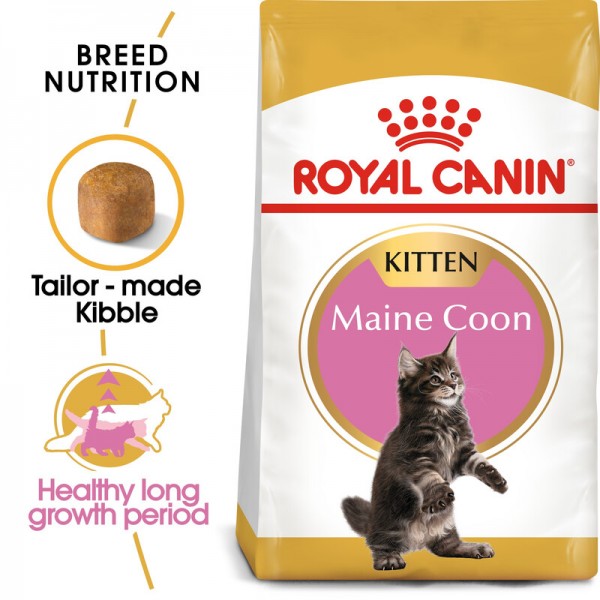 ROYAL CANIN KITTEN MAINE COON ( 2 Kg )