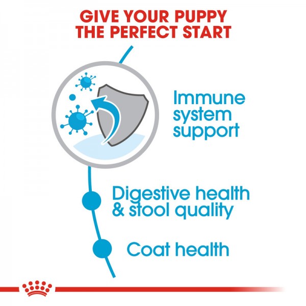 ROYAL CANIN PUPPY MINI INDOOR ( 1.5 Kg )