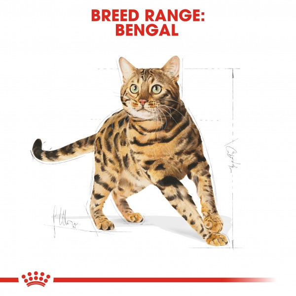 ROYALCANIN BENGAL ADULT (2kg)