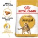 ROYALCANIN BENGAL ADULT (2kg)