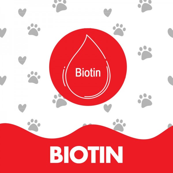 Dr. Pet - Biotin Dog Shampoo - (400ml)