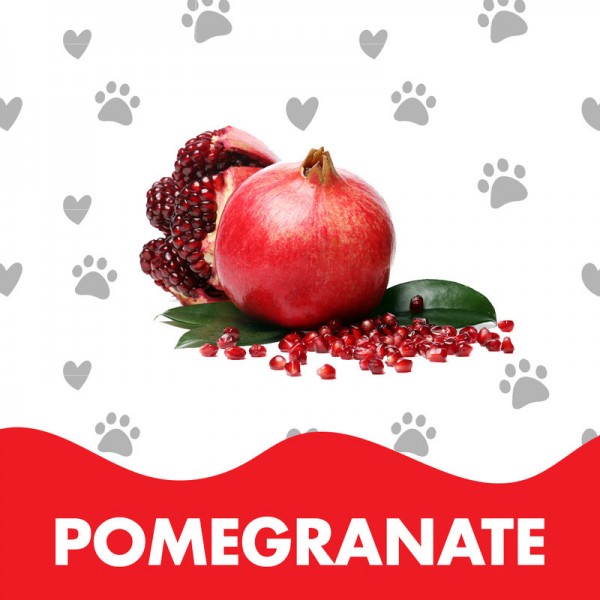 Dr. Pet - Pomegranate Fragrance Mist Cologne For Cats & Dogs (400ml)