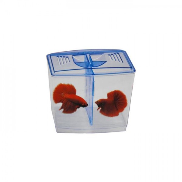 DOPHIN BETTA TANK ( BT 104 ) For Fish