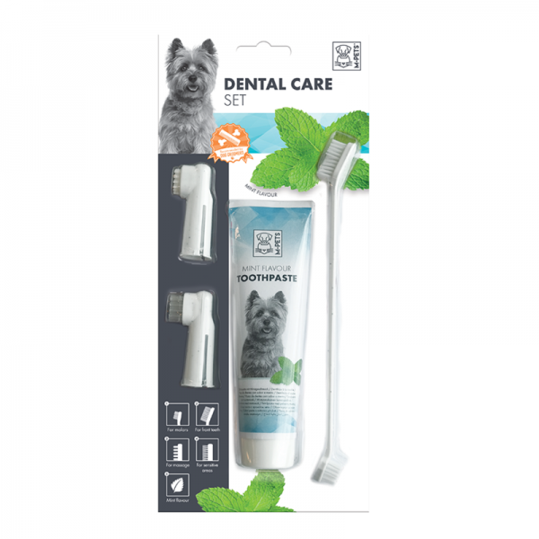 M-PETS Dental Mint Flavor Toothpaste Kit(100g)