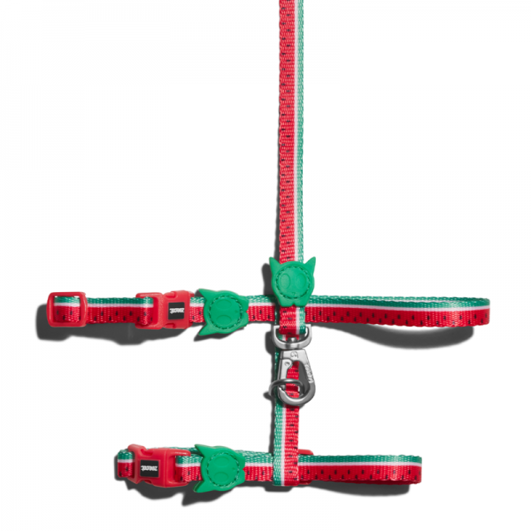 Zee.Cat Lola Harness & Leash Set(Green&Red)