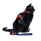 ZEE CAT Phantom Harness & Leash Set ( BLUE )