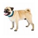 Ferplast Dog Collar With Soft Padding blue(m)