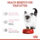 ROYAL CANIN KITTEN GRAVY ( 85 G )